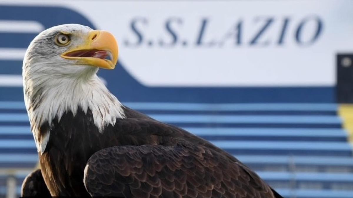 Lazio, nuova aquila: la polemica con il falconiere della protesi peniena