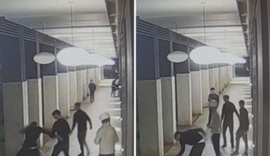 Milano, 22enne bocconiano rapinato e accoltellato in corso Como, resterà invalido: arrestati 5 ragazzi. Si erano vantati su TikTok: «Non l'hanno scoperto»