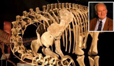 Morto Philippe Taquet, il cacciatore di dinosauri. Nel deserto del Téneré scoprì due nuove specie di sauropodi