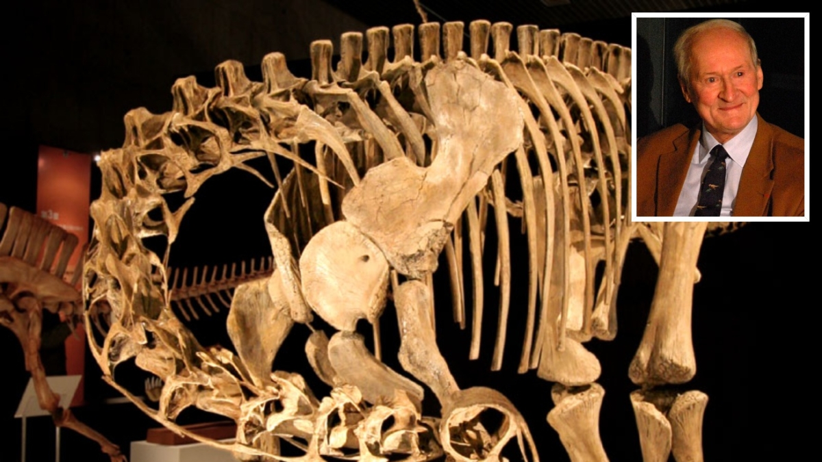 Morto Philippe Taquet, il cacciatore di dinosauri. Nel deserto del Téneré scoprì due nuove specie di sauropodi