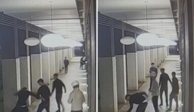 Aggressione in corso Como a Milano al 22enne bocconiano, le frasi choc: «Speriamo che muoia, così non parla»; «Bro', voglio fare un video per i social»