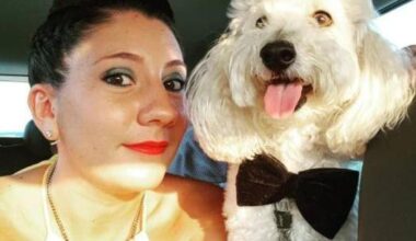 La morte di Ilaria Parimbelli: diagnosi di ansia, ma era encefalite. Il processo: «Andava consultato un neurologo»