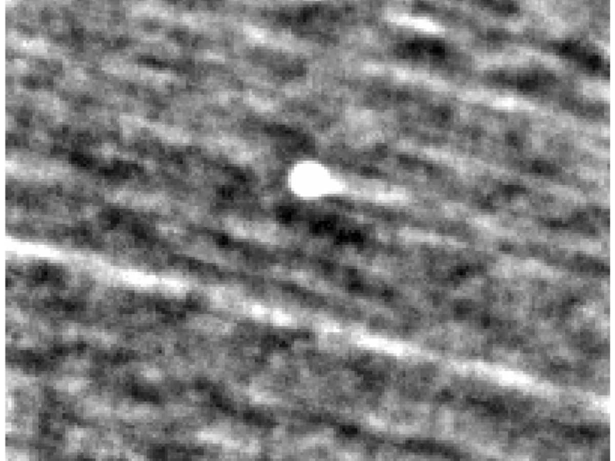 Il misterioso oggetto interstellare 3I/Atlas e le nuove immagini Nasa: «Sembra e si comporta come una cometa»