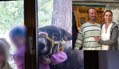 Chieti, i bimbi della famiglia che vive nel bosco trasferiti in una struttura protetta. Papà Nathan: «Terribile che sia accaduto»