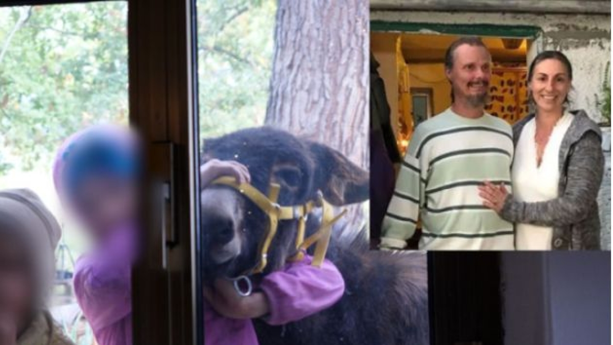 Chieti, i bimbi della famiglia che vive nel bosco trasferiti in una struttura protetta. Papà Nathan: «Terribile che sia accaduto»