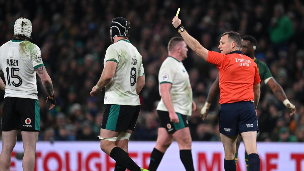 Rugby, Irlanda-Sudafrica 13-24, disastro arbitro Carley