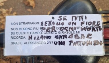 Milano, l'inciviltà di chi strappa via un fiore dedicato a un figlio morto a 15 anni sul campetto di basket