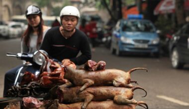 «Dio ha creato il cane affinché fosse mangiato». In Indonesia il fronte del no al divieto deciso da Giacarta