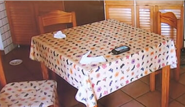 Caso Garlasco, il professor Avato: «Chiara Poggi morì all’istante»