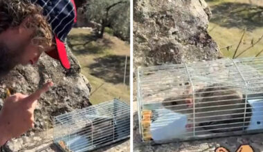 «Sembri quello dei cartoni animati, ti libero ma non tornare»