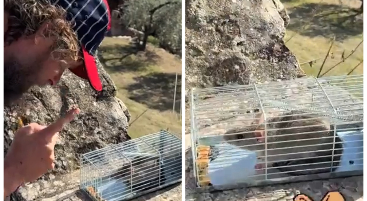 «Sembri quello dei cartoni animati, ti libero ma non tornare»