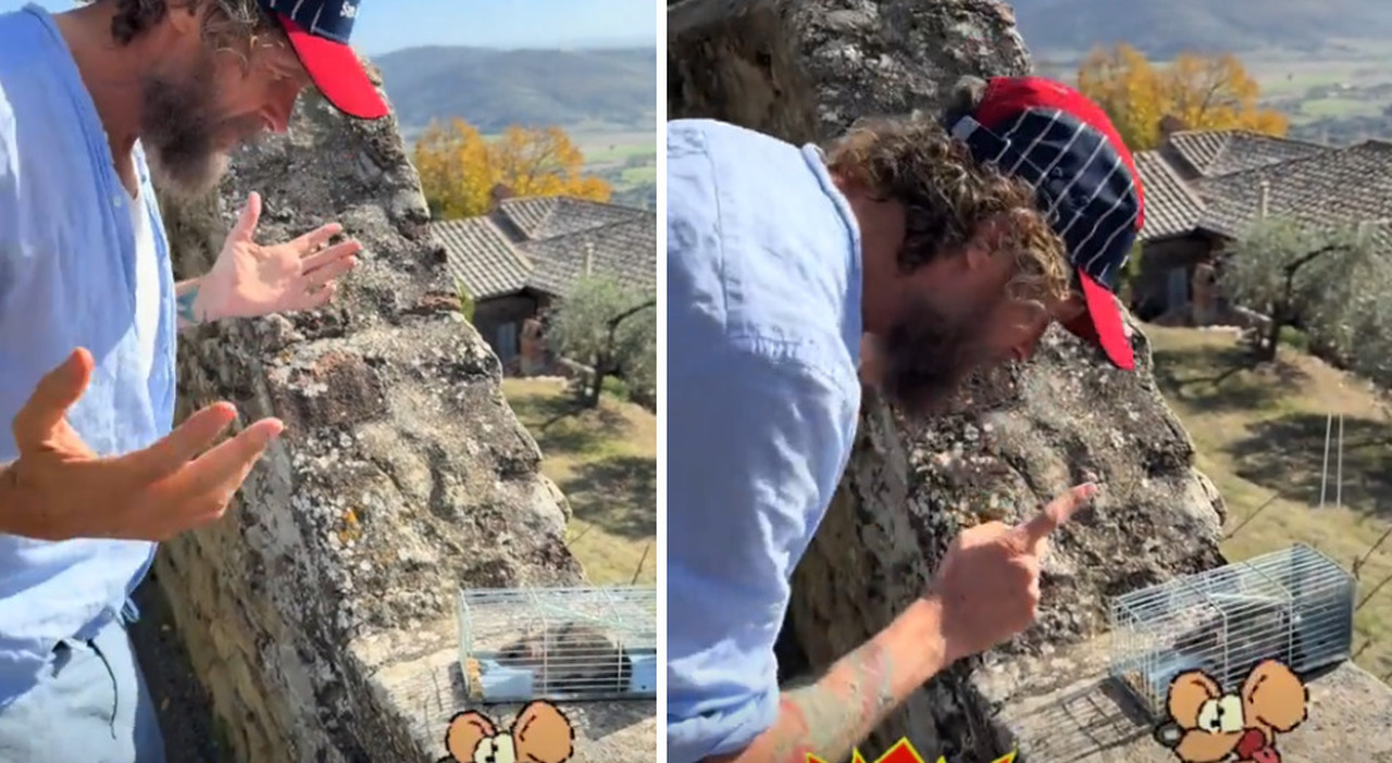 «Sembri uscito dai cartoni animati, sei libero» VIDEO