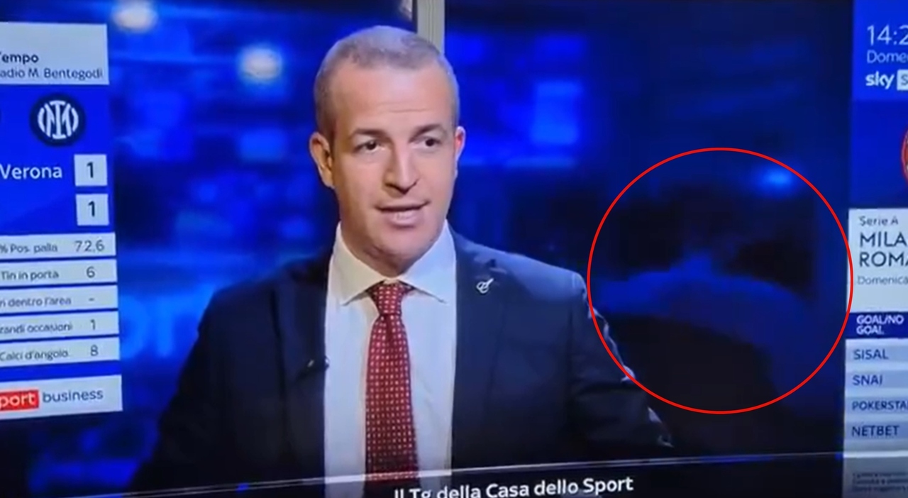 «Il direttore li ha cacciati subito»