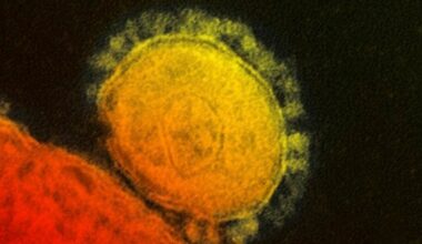 cosa è la malattia silenziosa che colpisce i polmoni dall’interno