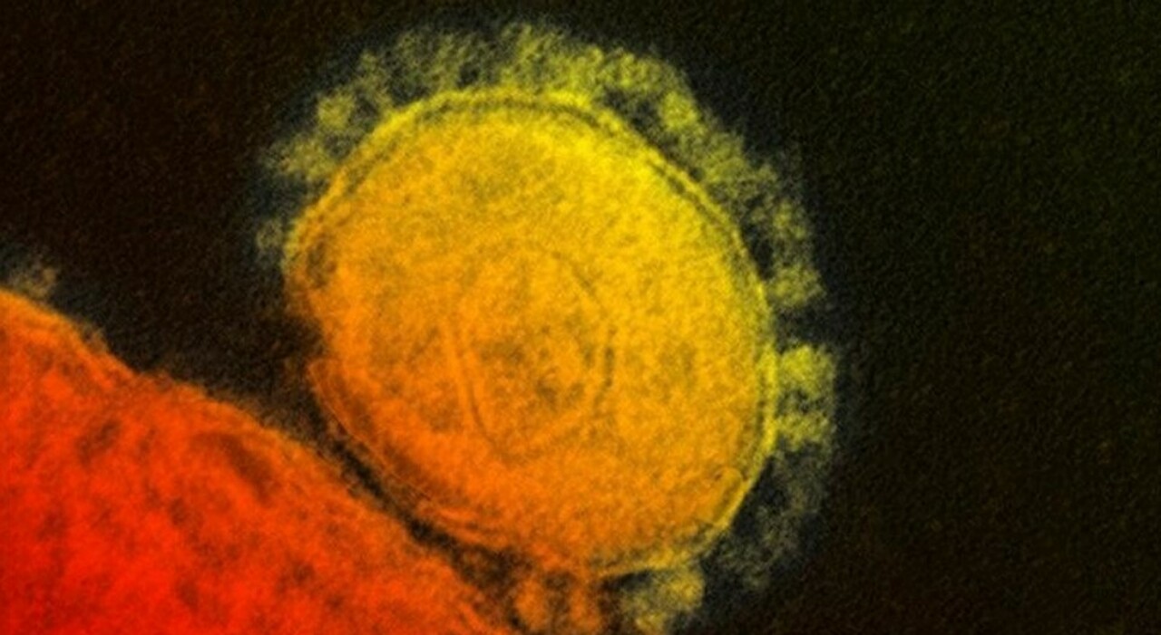 cosa è la malattia silenziosa che colpisce i polmoni dall’interno