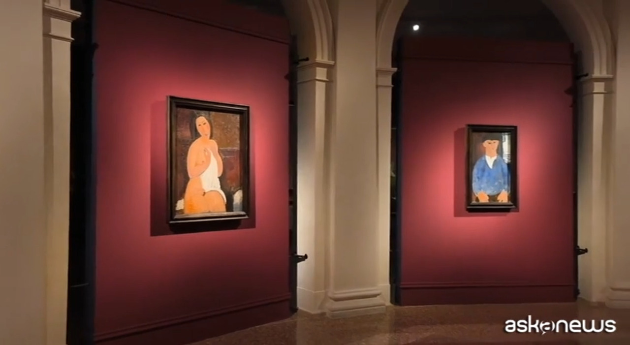 «È una mostra che racconta il Novecento e gli artisti che hanno cambiato l'arte» VIDEO