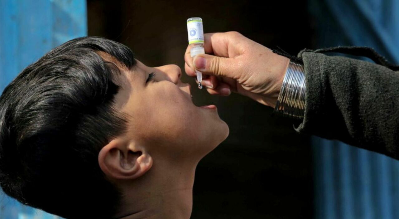 Poliomielite, virus selvaggio trovato per la prima volta dal 2010: cos'è e cosa significa