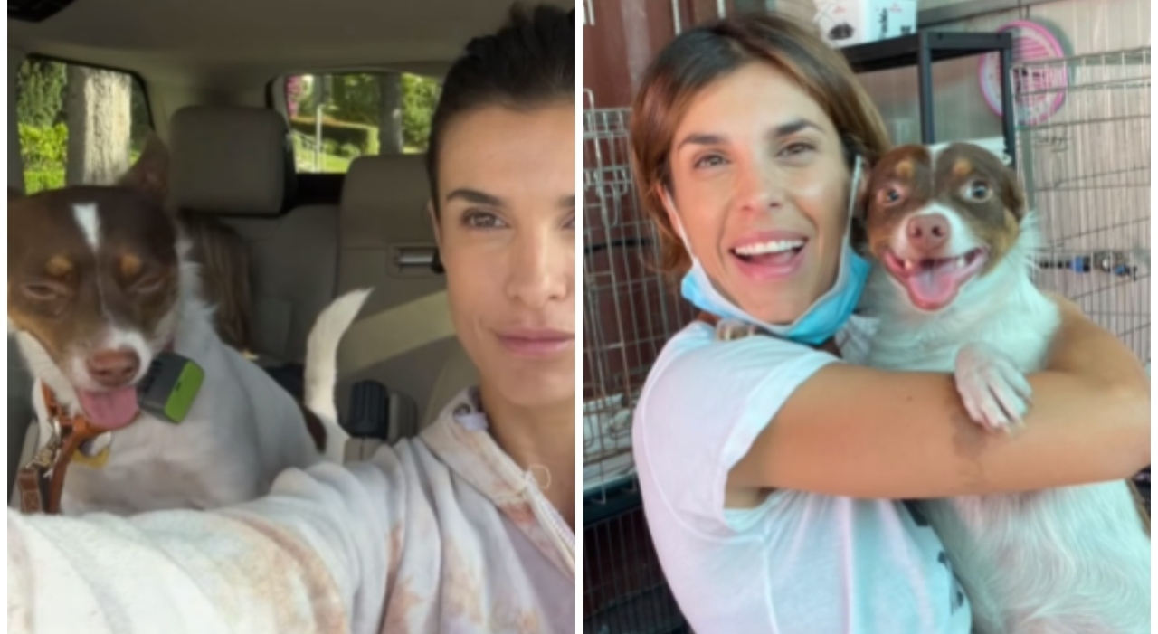 «È uno spirito libero. È il mio compagno di vita»