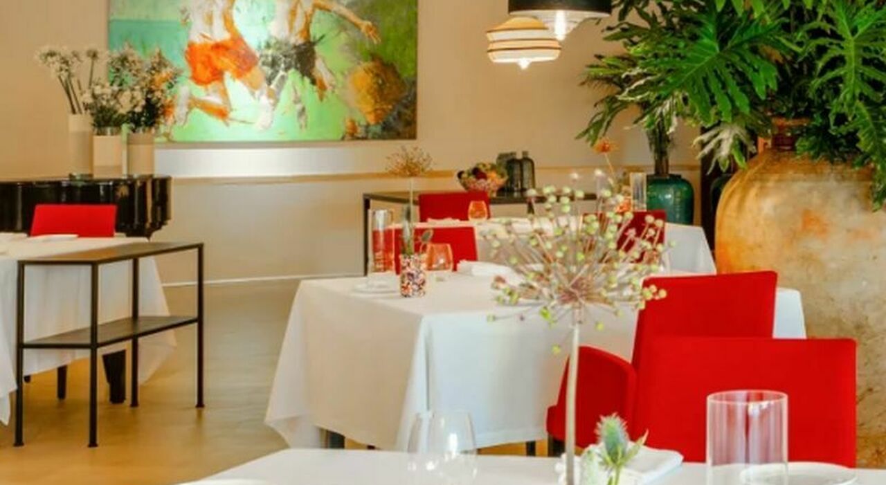 Guida Michelin, la Puglia perde due stelle sul 2025: otto i ristoranti premiati