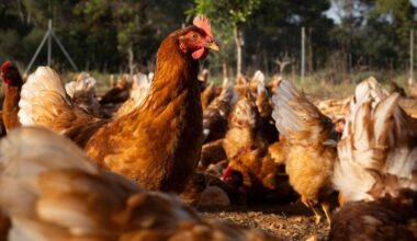 vai alla homepage de Il Sole 24 Ore