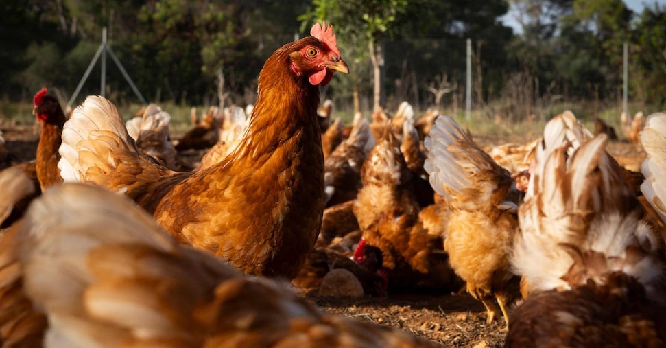 vai alla homepage de Il Sole 24 Ore