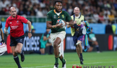 URC: gli Sharks salutano Lukhanyo Am e l'allenatore John Plumtree