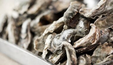 vai alla homepage de Il Sole 24 Ore