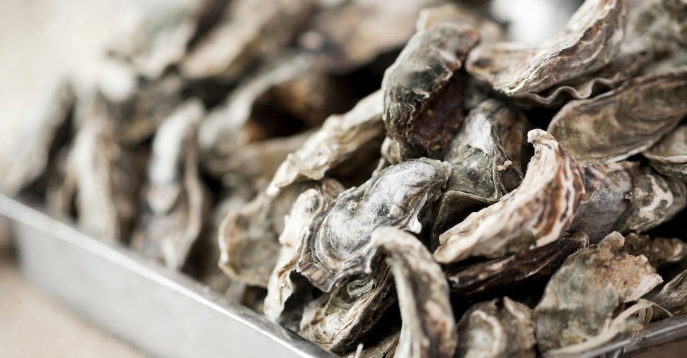 vai alla homepage de Il Sole 24 Ore