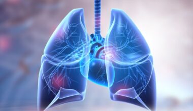 vai alla homepage de Il Sole 24 Ore