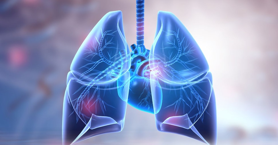 vai alla homepage de Il Sole 24 Ore