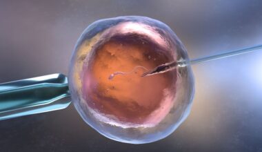 vai alla homepage de Il Sole 24 Ore