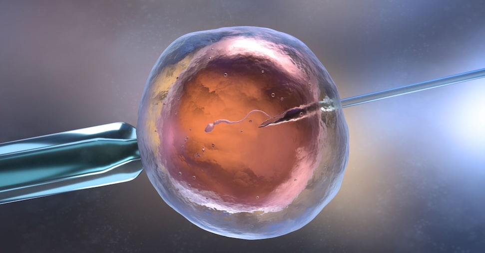 vai alla homepage de Il Sole 24 Ore