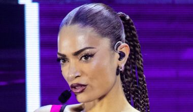 toglie bruscamente il cellulare ad un fan, ma era un giornalista