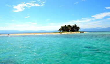 Problemi per l'Isola dei Famosi 20