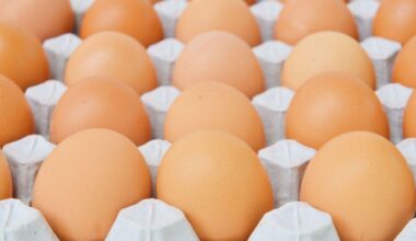 Allerta alimentare: ritirati tre lotti di uova per rischio microbiologico