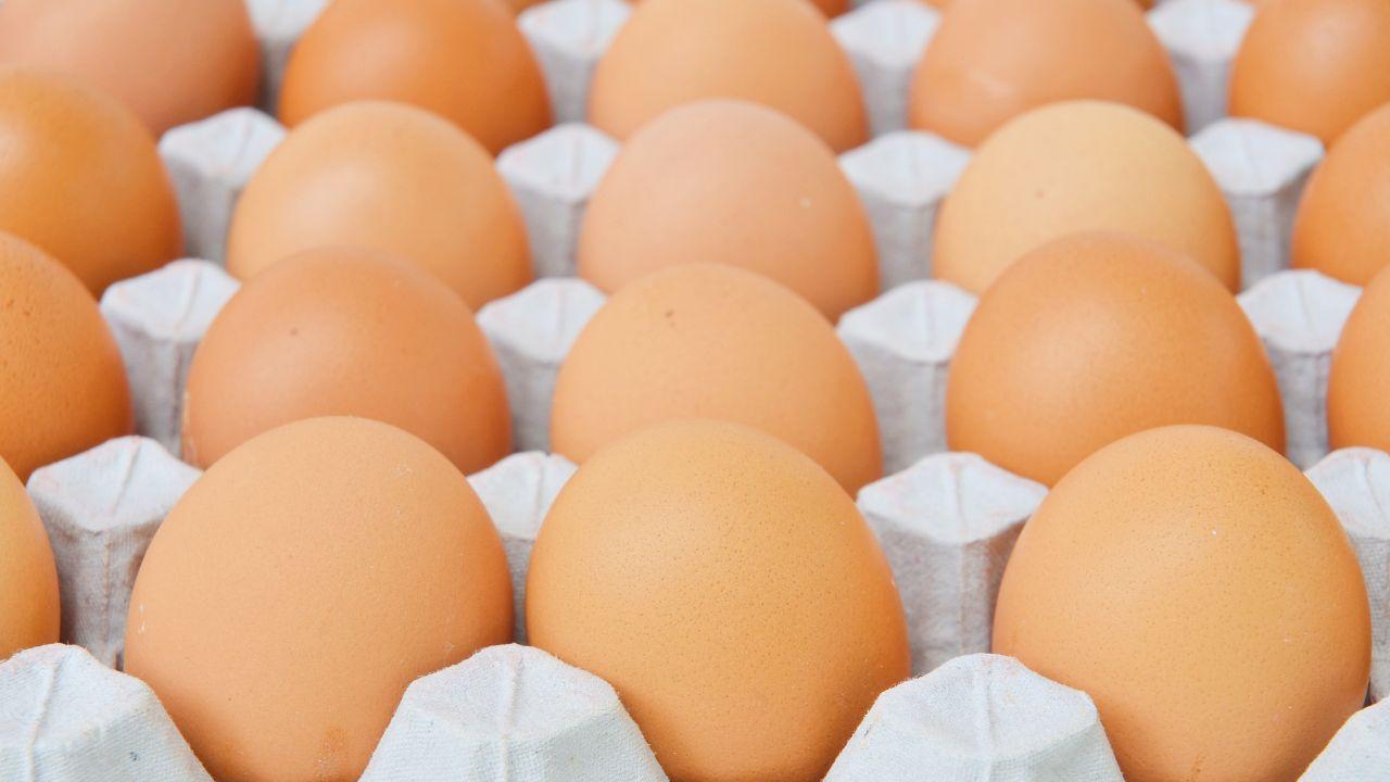 Allerta alimentare: ritirati tre lotti di uova per rischio microbiologico