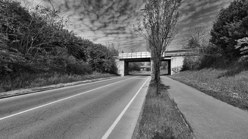 Seregno 2025 Silva mostra Covid