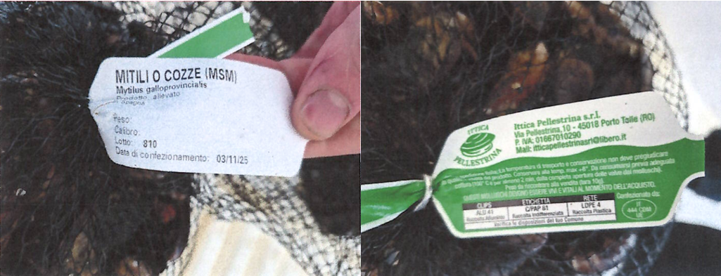 Cozze Ittica Pellestrina richiamo 11.11.2025