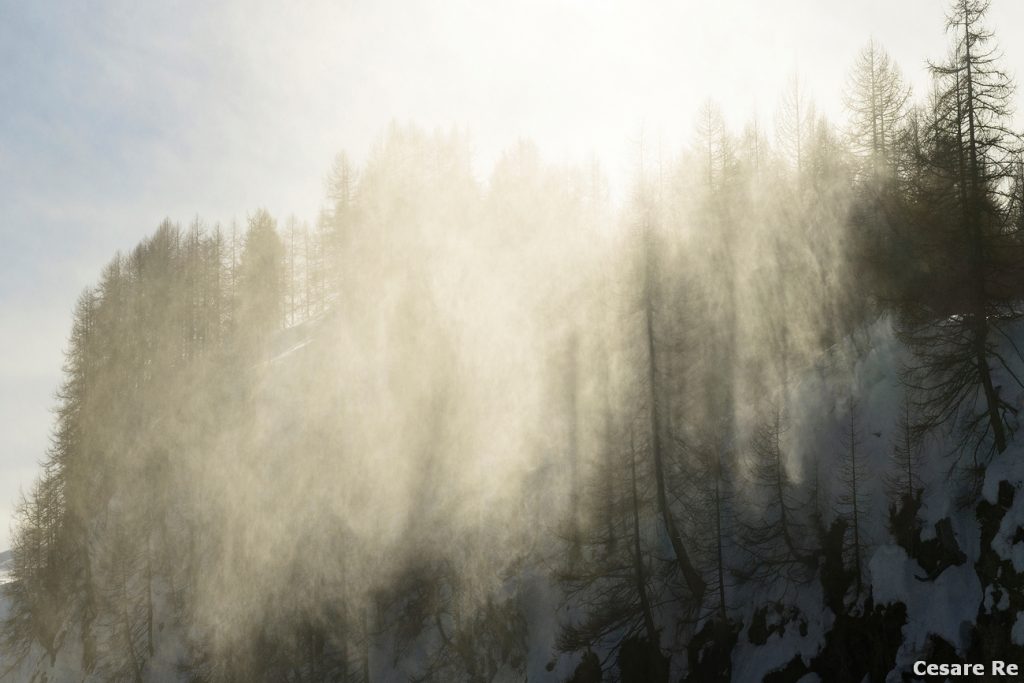 Alberi, nebbia e controluce. Campanile e Cima Val di Roda. Foto Cesare Re