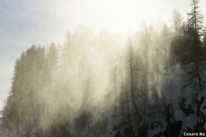 Alberi, nebbia e controluce. Una folata di vento alza la neve che corre tra i larici secchi, nella località di Crampiolo, all’Alpe Devero. A volte è il vento che disegna forme inconsuete e rende la foto diversa e attraente. Ho già parlato, in maniera più specifica della fotografia di alberi, in stagione invernale. Nikon D800; Nikkor 24-70 f 2,8 AFG; 1/500; f/11; ISO 100