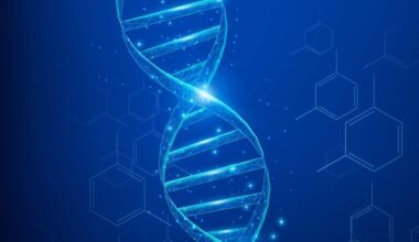 Caso Garlasco, cos'è il Dna Y trovato sulle unghie di Chiara Poggi e come si usa nelle indagini