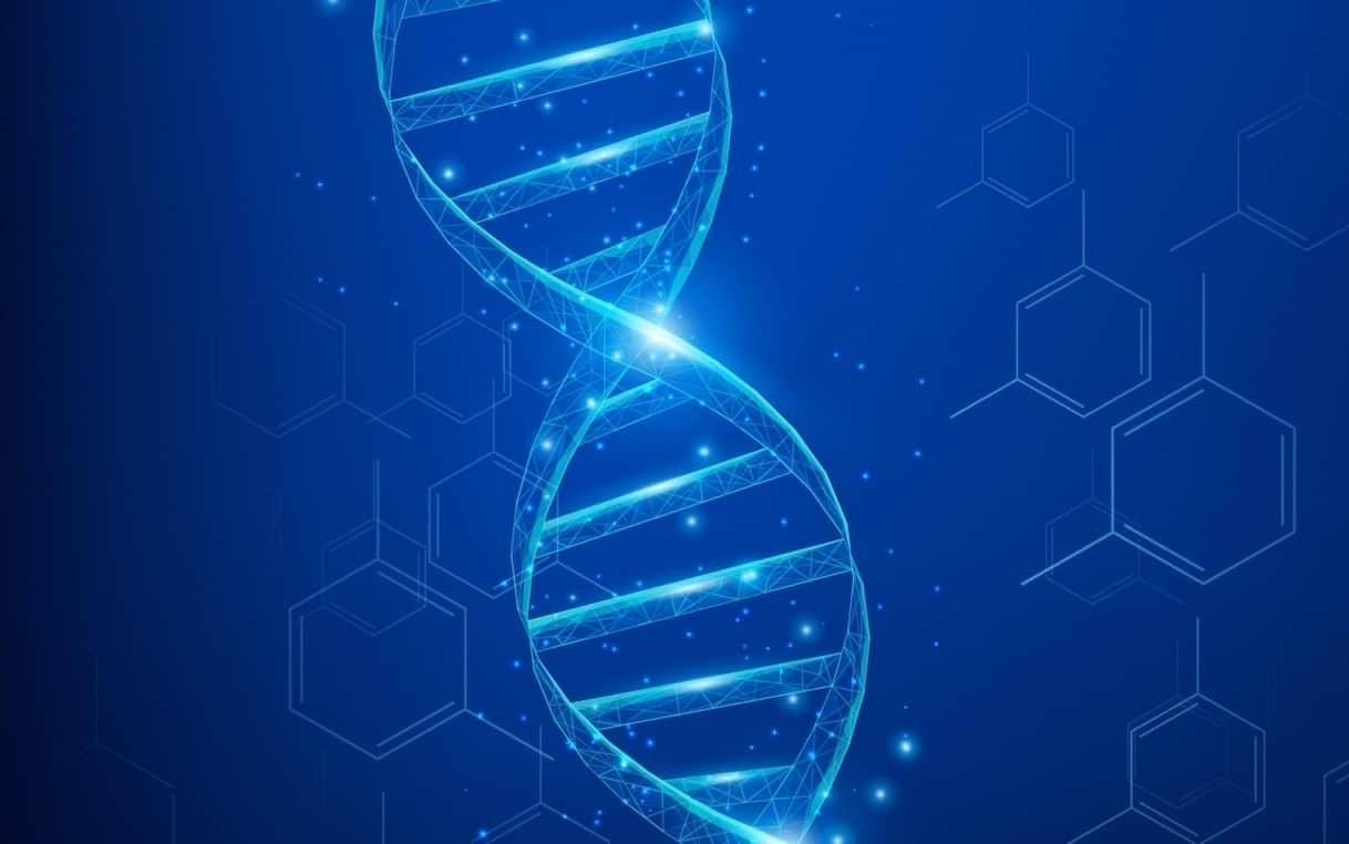 Caso Garlasco, cos'è il Dna Y trovato sulle unghie di Chiara Poggi e come si usa nelle indagini