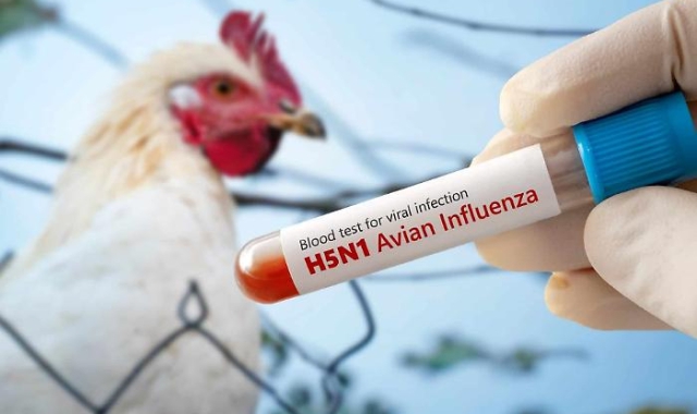 Da metà settimana le aziende in un raggio di dieci chilometri sono monitorate per il rischio di presenza del virus