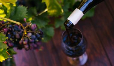 Vino, Antitrust: sanzione da 150mila euro a Tannico per pratica commerciale scorretta - Sky TG24