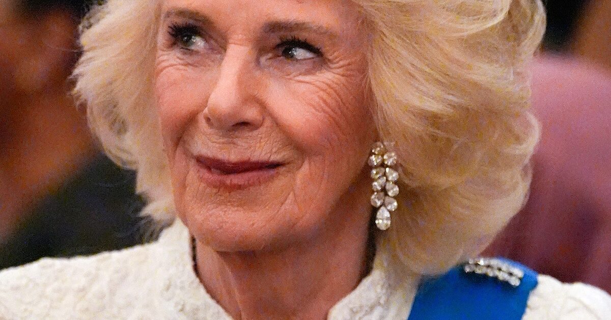 Camilla con la tiara di Eugenia, la gaffe di Letizia di Spagna e altre foto e news royal della settimana - Amica.it