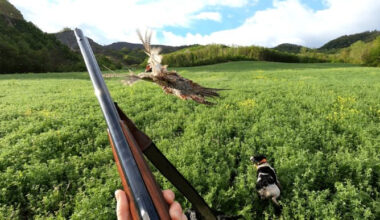 Maria Angela Santini vince «A caccia di scatti 2025»