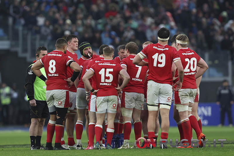 Dove e quando si vede Galles-Argentina in tv e streaming