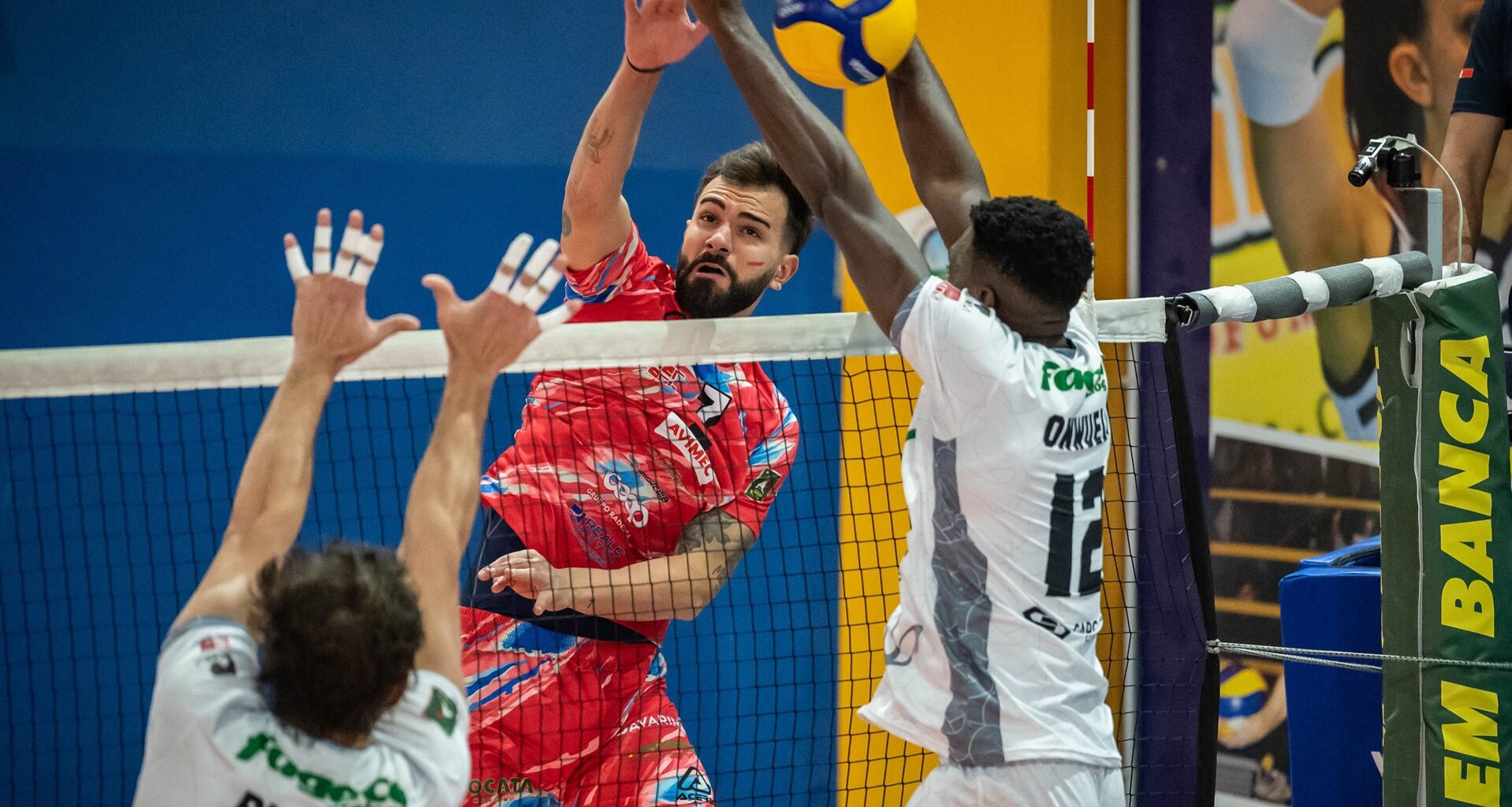 Serie A3 Credem Banca: i risultati del fine settimana