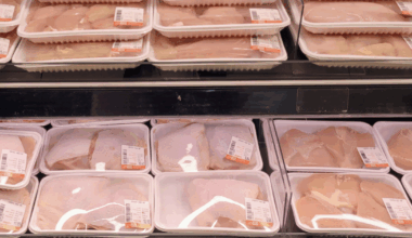 White striping nei petti di pollo: ecco i risultati (sorprendenti) dell'indagine di Essere Animali