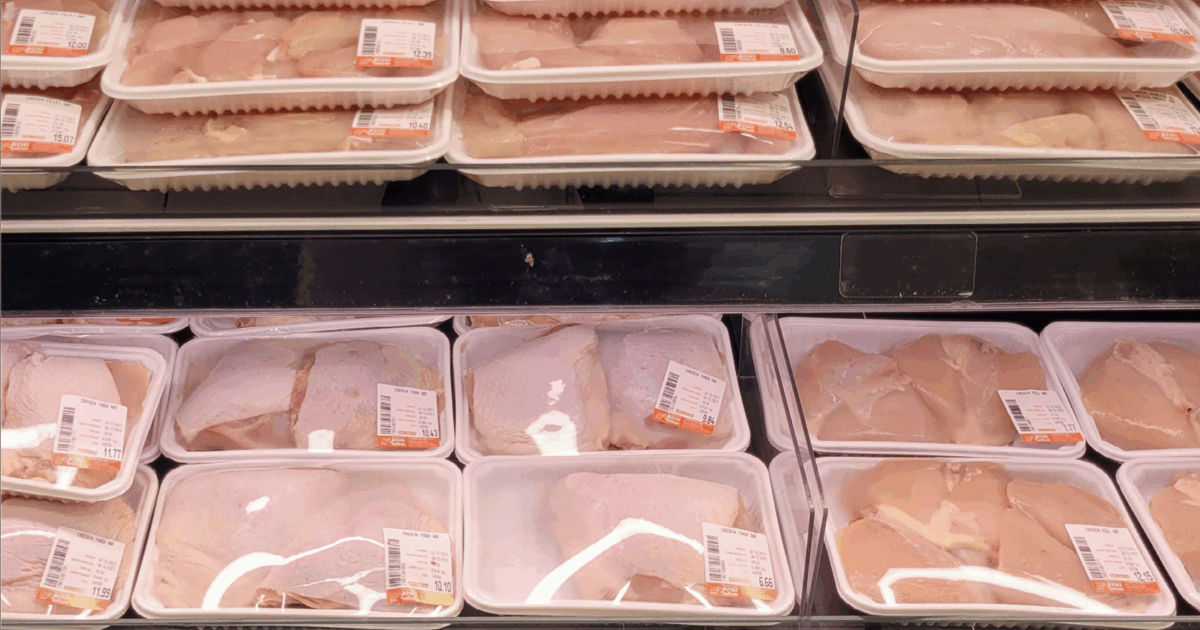 White striping nei petti di pollo: ecco i risultati (sorprendenti) dell'indagine di Essere Animali